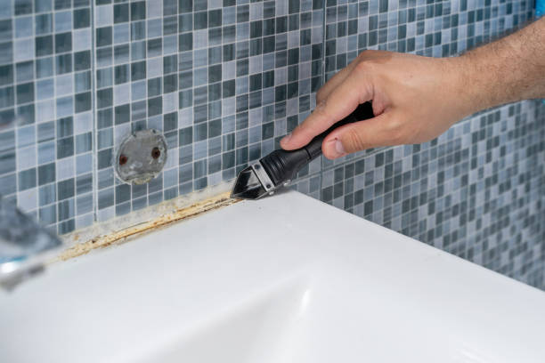 Best Basement Mold Remediation in Livonia, MI